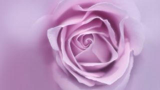 パープルのドレスを上手に着こなす
